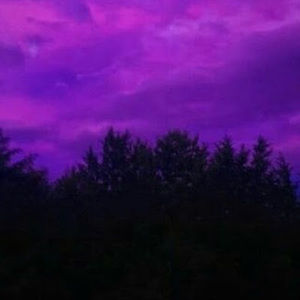 Meet your Posher, Carly